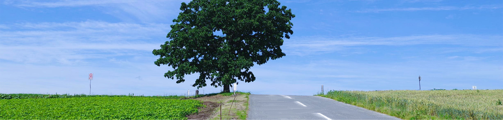 会社情報の見出し画像