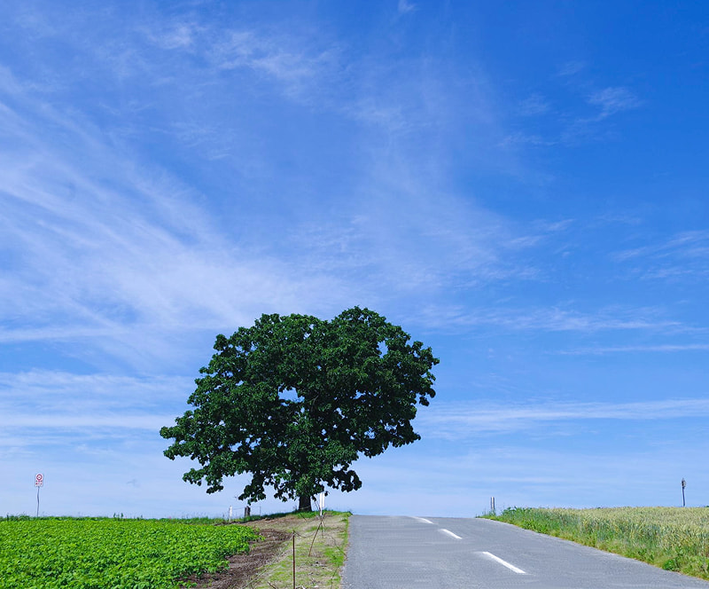 会社情報の見出し画像