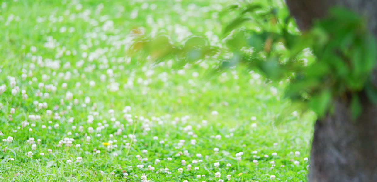 サステナビリティへのリンク画像