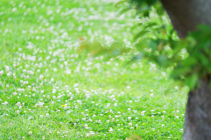 サステナビリティへのリンク画像