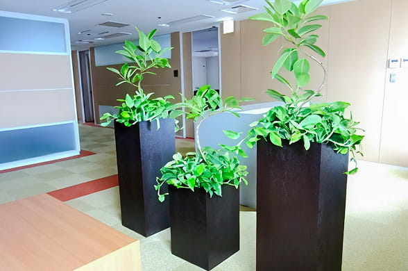 グリーンレンタル