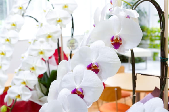 フラワーサービス