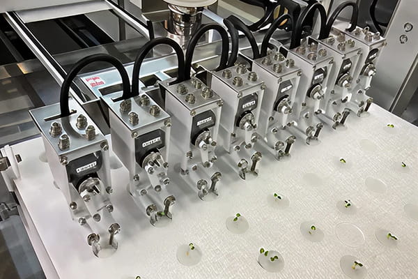 植物工場向け野菜移植機カットタイプ写真