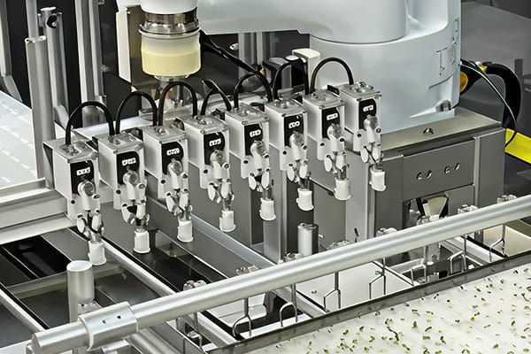 植物工場向け野菜移植機パネル対応写真