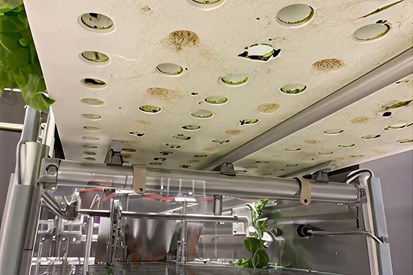 植物工場向け根切機カット終了写真