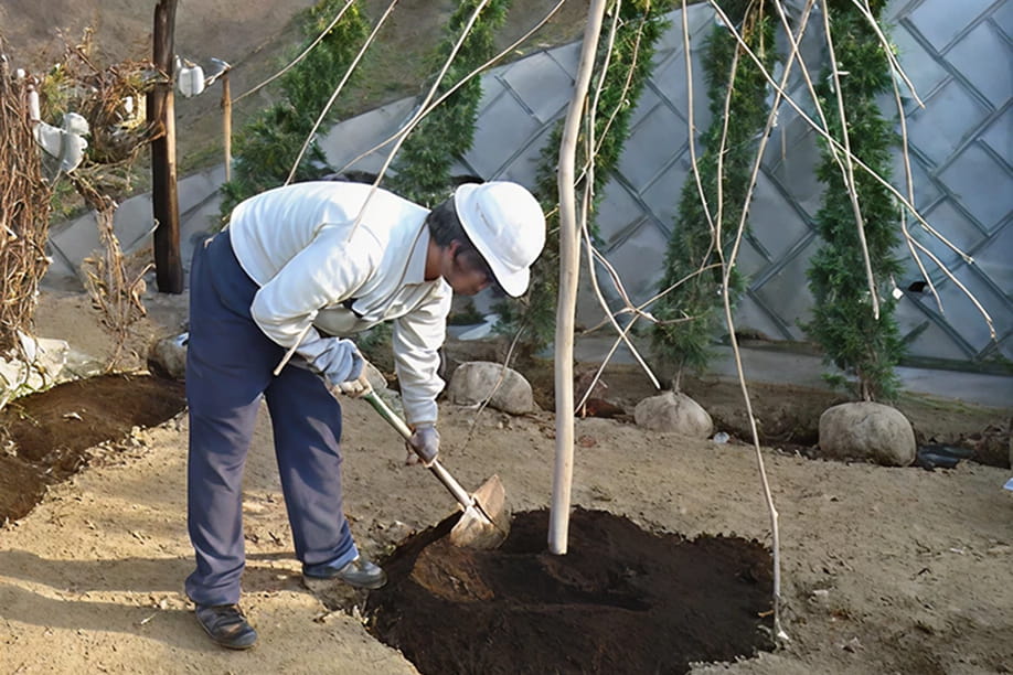 造園緑化工事作業写真