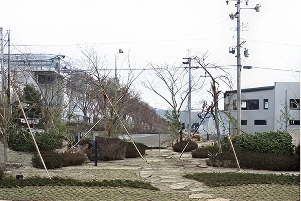 研修所の植栽工事写真
