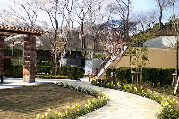 公園の植栽工事写真