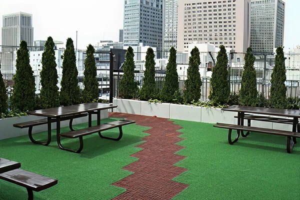 屋上緑化工事写真