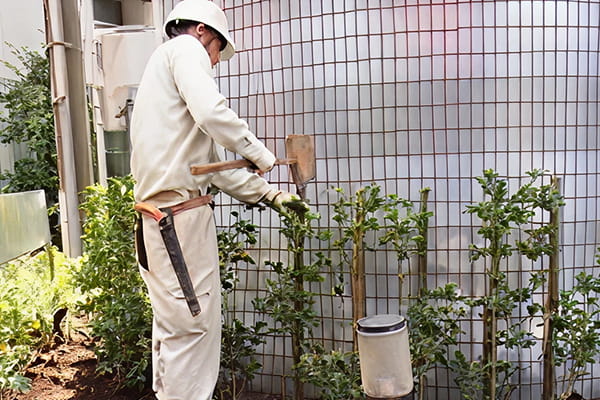 壁面緑化工事写真