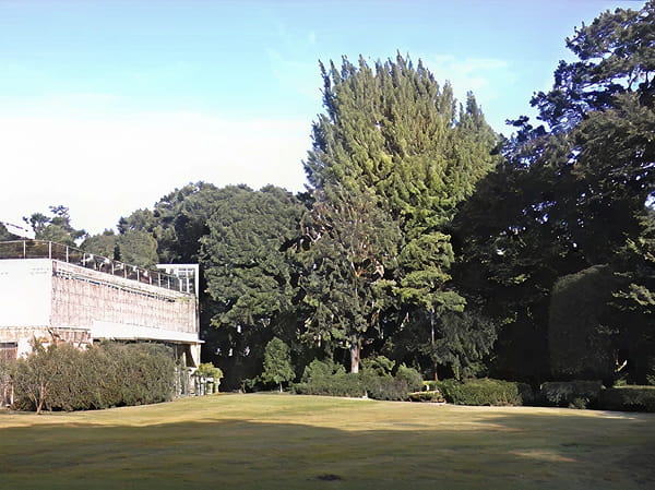 管理地（工場）写真