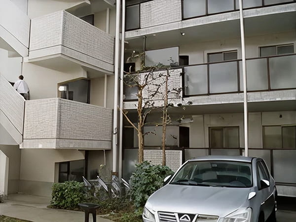 高木選定作業後写真