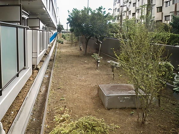 除草作業後写真