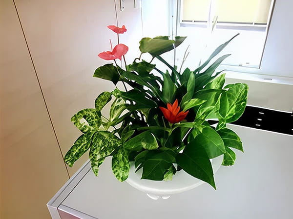 受付エリア写真2