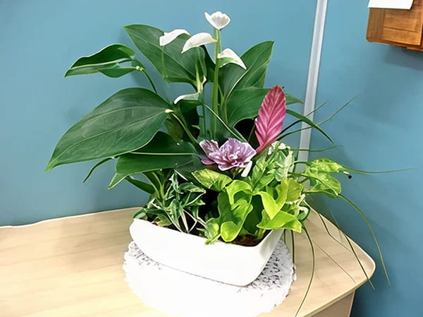 受付エリア写真3