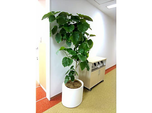 共用部エリア写真2