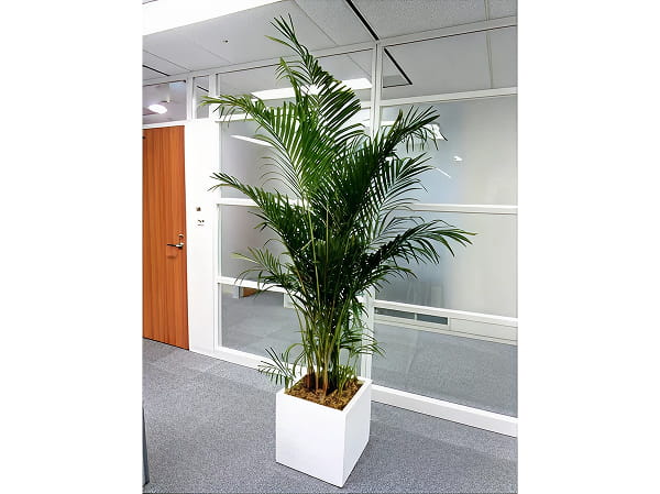 共用部エリア写真3