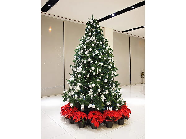 クリスマスコレクション写真