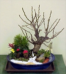 松竹梅寄せ植え